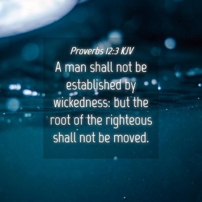 Picture 04 - Proverbs 12:3 KJV - A man shall not be established by wickedness: but - Bible Verse Picture