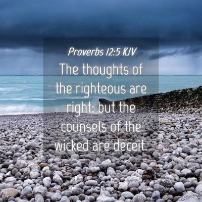 Picture 04 - Proverbs 12:5 KJV - The thoughts of the righteous are right: but the - Bible Verse Picture