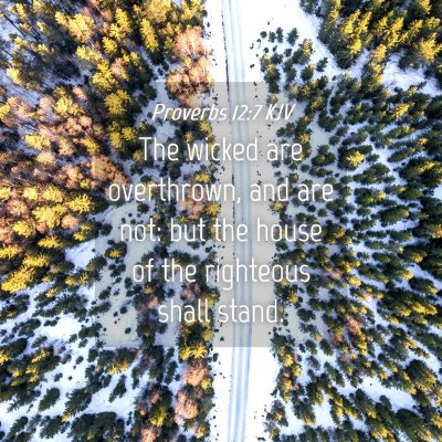 Picture 04 - Proverbs 12:7 KJV - The wicked are overthrown, and are not: but the - Bible Verse Picture