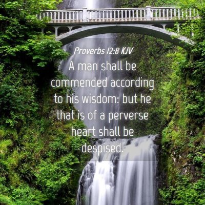 Picture 04 - Proverbs 12:8 KJV - A man shall be commended according to his wisdom: - Bible Verse Picture