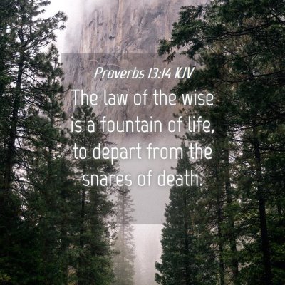 Picture 04 - Proverbs 13:14 KJV - The law of the wise is a fountain of life, to - Bible Verse Picture