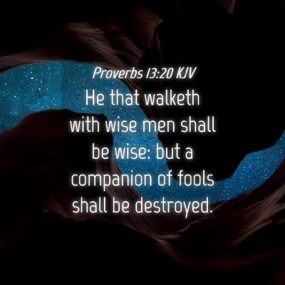 Picture 04 - Proverbs 13:20 KJV - He that walketh with wise men shall be wise: but - Bible Verse Picture