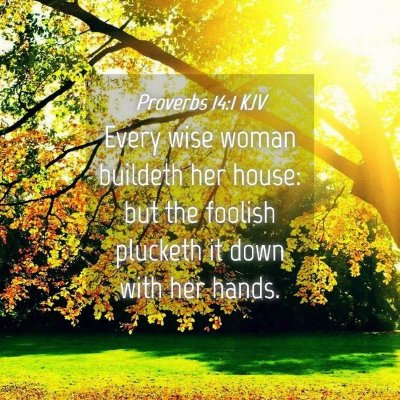 Picture 04 - Proverbs 14:1 KJV - Every wise woman buildeth her house: but the - Bible Verse Picture