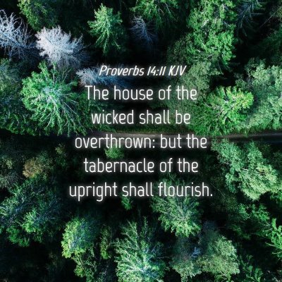 Picture 04 - Proverbs 14:11 KJV - The house of the wicked shall be overthrown: but - Bible Verse Picture