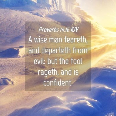 Picture 04 - Proverbs 14:16 KJV - A wise man feareth, and departeth from evil: but - Bible Verse Picture