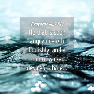 Picture 04 - Proverbs 14:17 KJV - He that is soon angry dealeth foolishly: and a - Bible Verse Picture