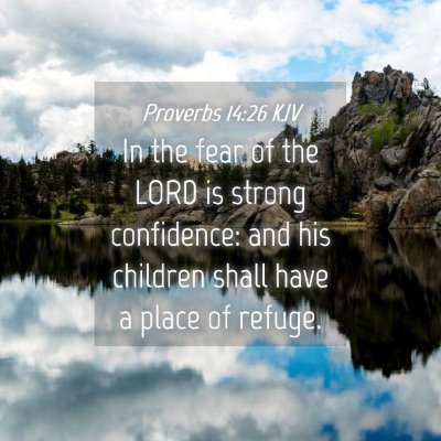 Picture 04 - Proverbs 14:26 KJV - In the fear of the LORD is strong confidence: and - Bible Verse Picture