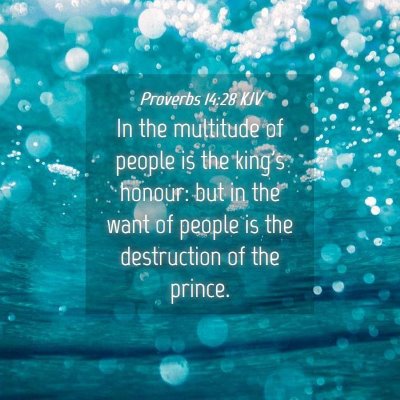 Picture 04 - Proverbs 14:28 KJV - In the multitude of people is the king's honour: - Bible Verse Picture