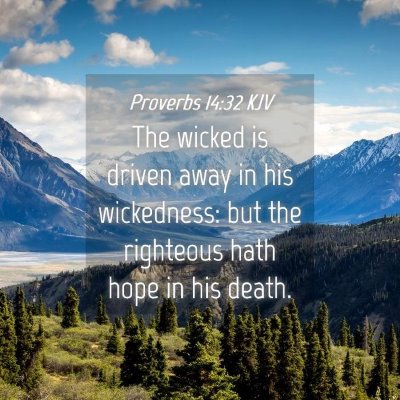 Picture 04 - Proverbs 14:32 KJV - The wicked is driven away in his wickedness: but - Bible Verse Picture