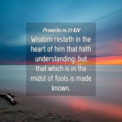Picture 04 - Proverbs 14:33 KJV - Wisdom resteth in the heart of him that hath - Bible Verse Picture