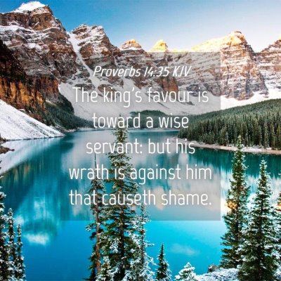 Picture 04 - Proverbs 14:35 KJV - The king's favour is toward a wise servant: but - Bible Verse Picture