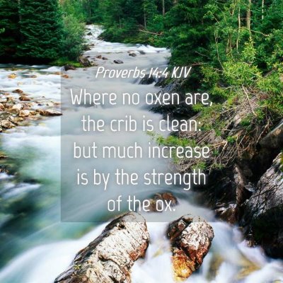 Picture 04 - Proverbs 14:4 KJV - Where no oxen are, the crib is clean: but much - Bible Verse Picture