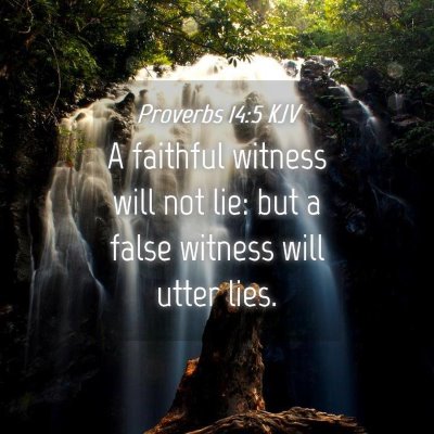 Picture 04 - Proverbs 14:5 KJV - A faithful witness will not lie: but a false - Bible Verse Picture