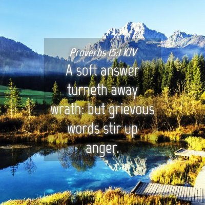 Picture 04 - Proverbs 15:1 KJV - A soft answer turneth away wrath: but grievous - Bible Verse Picture