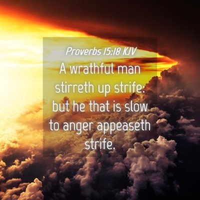 Picture 04 - Proverbs 15:18 KJV - A wrathful man stirreth up strife: but he that is - Bible Verse Picture