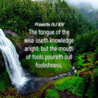 Picture 04 - Proverbs 15:2 KJV - The tongue of the wise useth knowledge aright: - Bible Verse Picture