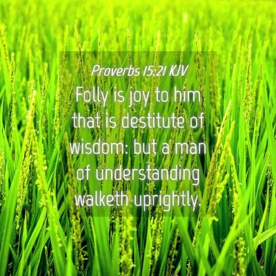 Picture 04 - Proverbs 15:21 KJV - Folly is joy to him that is destitute of wisdom: - Bible Verse Picture