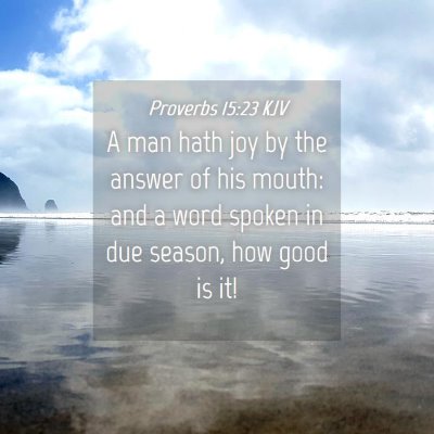Picture 04 - Proverbs 15:23 KJV - A man hath joy by the answer of his mouth: and a - Bible Verse Picture