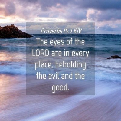 Picture 04 - Proverbs 15:3 KJV - The eyes of the LORD are in every place, - Bible Verse Picture