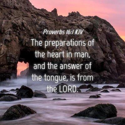 Picture 04 - Proverbs 16:1 KJV - The preparations of the heart in man, and the - Bible Verse Picture