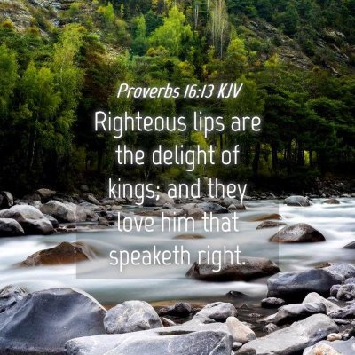 Picture 04 - Proverbs 16:13 KJV - Righteous lips are the delight of kings; and they - Bible Verse Picture