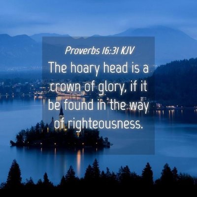 Picture 04 - Proverbs 16:31 KJV - The hoary head is a crown of glory, if it be - Bible Verse Picture
