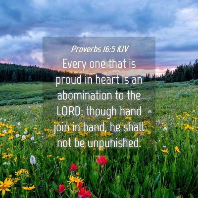 Picture 04 - Proverbs 16:5 KJV - Every one that is proud in heart is an - Bible Verse Picture