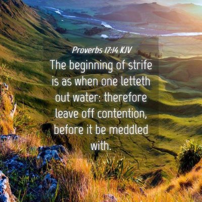 Picture 04 - Proverbs 17:14 KJV - The beginning of strife is as when one letteth - Bible Verse Picture