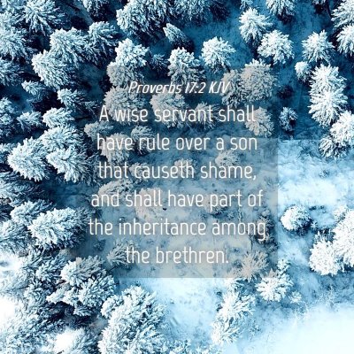 Picture 04 - Proverbs 17:2 KJV - A wise servant shall have rule over a son that - Bible Verse Picture