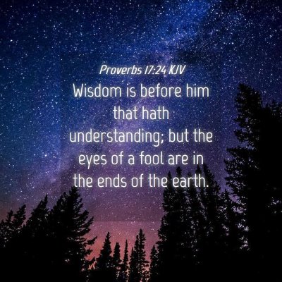Picture 04 - Proverbs 17:24 KJV - Wisdom is before him that hath understanding; but - Bible Verse Picture