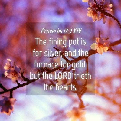 Picture 04 - Proverbs 17:3 KJV - The fining pot is for silver, and the furnace for - Bible Verse Picture