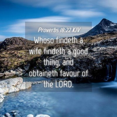 Picture 04 - Proverbs 18:22 KJV - Whoso findeth a wife findeth a good thing, and - Bible Verse Picture