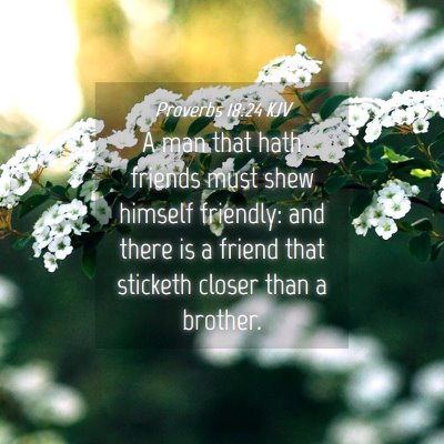 Picture 04 - Proverbs 18:24 KJV - A man that hath friends must shew himself - Bible Verse Picture