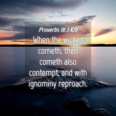 Picture 04 - Proverbs 18:3 KJV - When the wicked cometh, then cometh also - Bible Verse Picture
