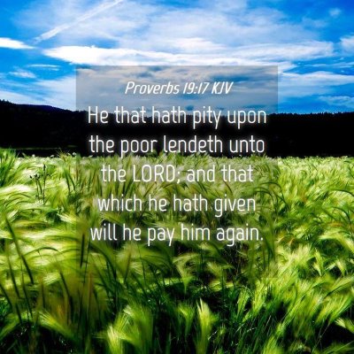 Picture 04 - Proverbs 19:17 KJV - He that hath pity upon the poor lendeth unto the - Bible Verse Picture