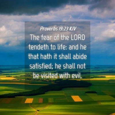 Picture 04 - Proverbs 19:23 KJV - The fear of the LORD tendeth to life: and he that - Bible Verse Picture