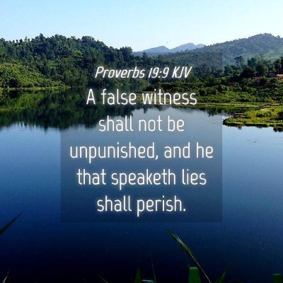 Picture 04 - Proverbs 19:9 KJV - A false witness shall not be unpunished, and he - Bible Verse Picture