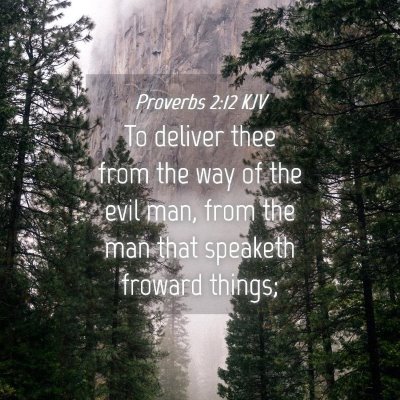 Picture 04 - Proverbs 2:12 KJV - To deliver thee from the way of the evil man, - Bible Verse Picture