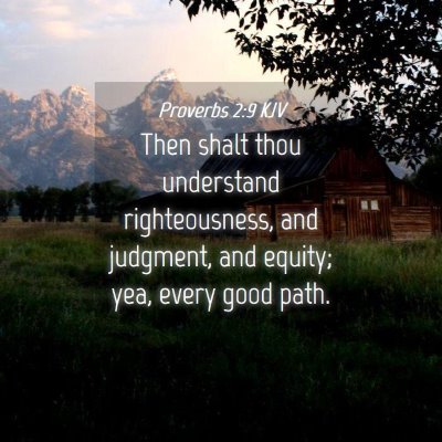Picture 04 - Proverbs 2:9 KJV - Then shalt thou understand righteousness, and - Bible Verse Picture
