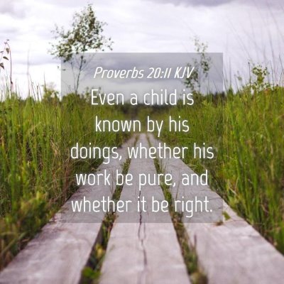 Picture 04 - Proverbs 20:11 KJV - Even a child is known by his doings, whether his - Bible Verse Picture