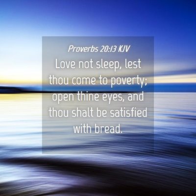 Picture 04 - Proverbs 20:13 KJV - Love not sleep, lest thou come to poverty; open - Bible Verse Picture