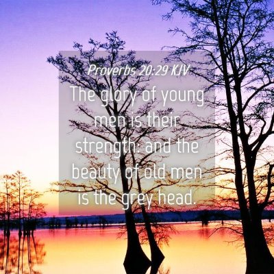 Picture 04 - Proverbs 20:29 KJV - The glory of young men is their strength: and the - Bible Verse Picture