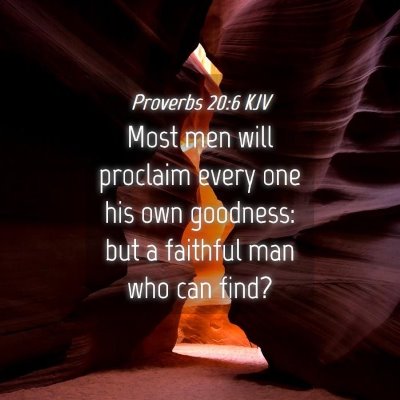 Picture 04 - Proverbs 20:6 KJV - Most men will proclaim every one his own - Bible Verse Picture