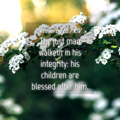 Picture 04 - Proverbs 20:7 KJV - The just man walketh in his integrity: his - Bible Verse Picture