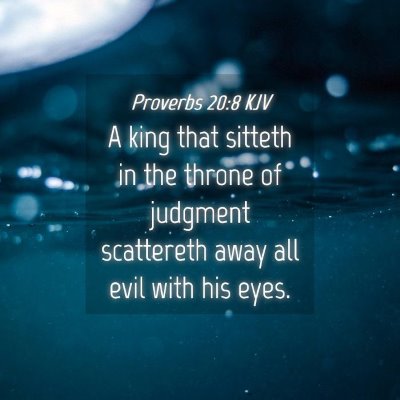 Picture 04 - Proverbs 20:8 KJV - A king that sitteth in the throne of judgment - Bible Verse Picture
