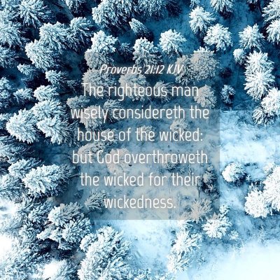 Picture 04 - Proverbs 21:12 KJV - The righteous man wisely considereth the house of - Bible Verse Picture