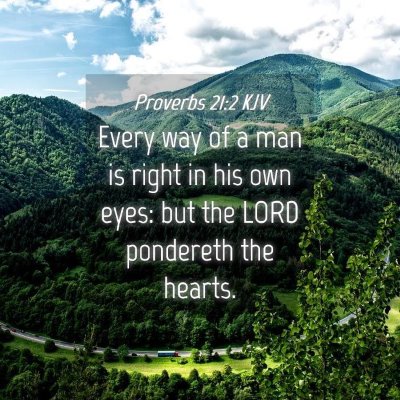 Picture 04 - Proverbs 21:2 KJV - Every way of a man is right in his own eyes: but - Bible Verse Picture
