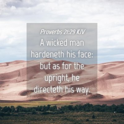Picture 04 - Proverbs 21:29 KJV - A wicked man hardeneth his face: but as for the - Bible Verse Picture