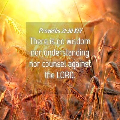 Picture 04 - Proverbs 21:30 KJV - There is no wisdom nor understanding nor counsel - Bible Verse Picture