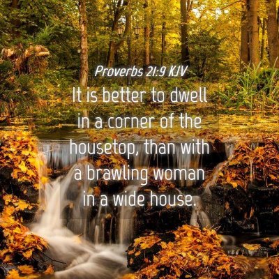 Picture 04 - Proverbs 21:9 KJV - It is better to dwell in a corner of the - Bible Verse Picture